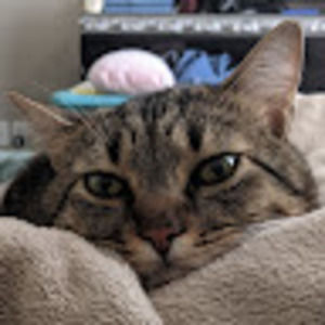 Meet your Posher, Morrigansmurder